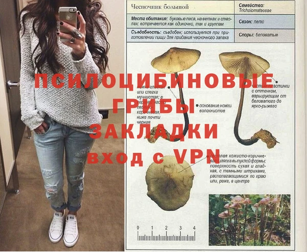 ешки Верхний Тагил